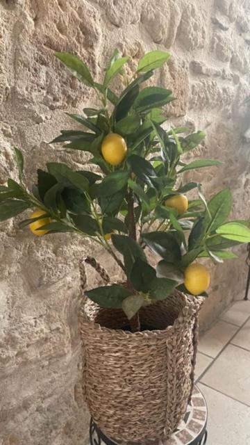Le Grand Rouget Apartment Beaucaire  Exterior photo