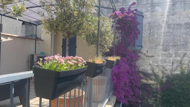 Le Grand Rouget Apartment Beaucaire  Exterior photo