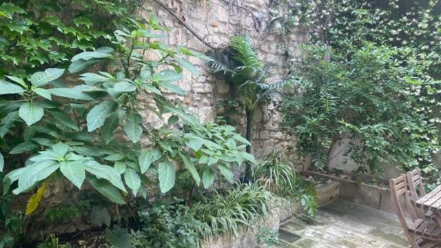 Le Grand Rouget Apartment Beaucaire  Exterior photo